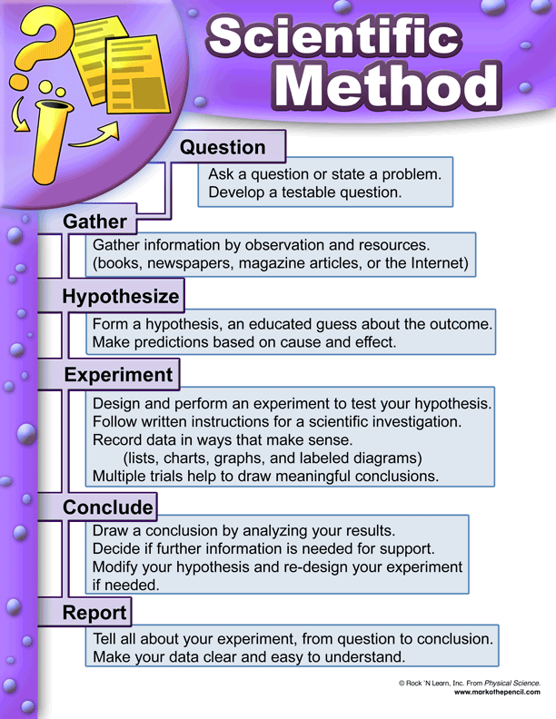 Scientific Method Worksheet Middle School